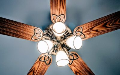 The 22 Best Ceiling Fans + Complete Buying Guide