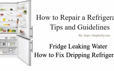 The fridge leaking water | How to Fix Dripping Refrigerator