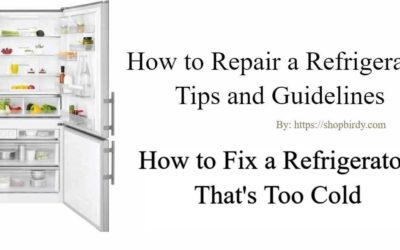 Refrigerator is Freezing Food| How to Fix a Refrigerator That’s Too Cold