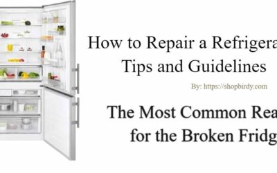 Fix Broken Fridge | The Most Common Reason for the Broken refrigerator