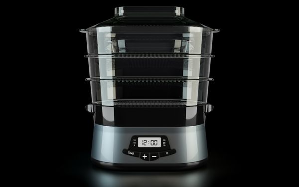 Best Food Steamer BPA Free